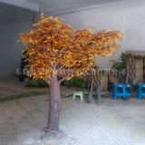 秋色樟树